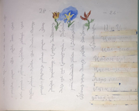 Image 27