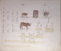 Image 6